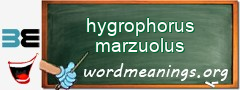 WordMeaning blackboard for hygrophorus marzuolus